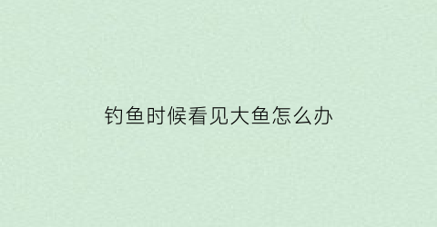 钓鱼时候看见大鱼怎么办