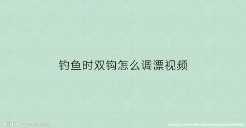 钓鱼时双钩怎么调漂视频(钓鱼双钩怎么用)