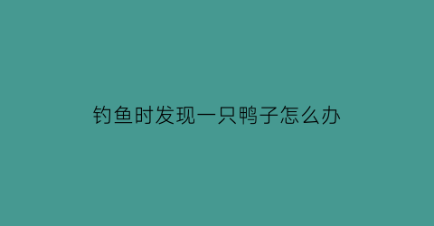 “钓鱼时发现一只鸭子怎么办(钓鱼时发现一只鸭子怎么办视频)