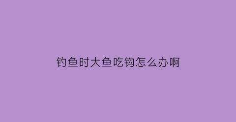 钓鱼时大鱼吃钩怎么办啊