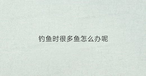 钓鱼时很多鱼怎么办呢