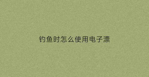 钓鱼时怎么使用电子漂(电子鱼漂怎么调漂)