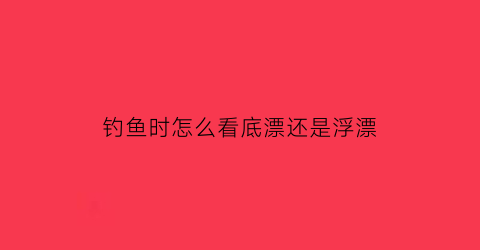 钓鱼时怎么看底漂还是浮漂(钓鱼的时候怎么看漂子)