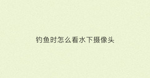 钓鱼时怎么看水下摄像头(钓鱼水下摄像头怎么用)