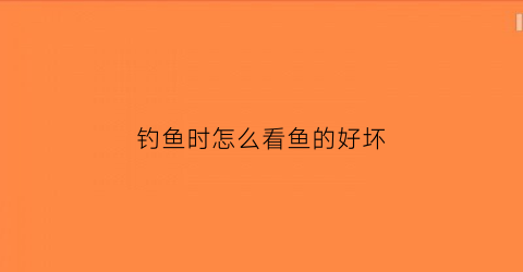 钓鱼时怎么看鱼的好坏(钓鱼怎么看位置)