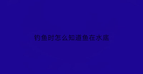 钓鱼时怎么知道鱼在水底