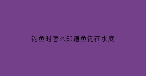 钓鱼时怎么知道鱼钩在水底