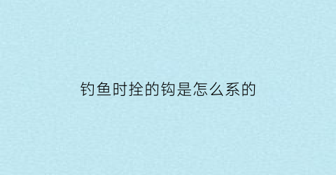 “钓鱼时拴的钩是怎么系的(钓鱼时拴的钩是怎么系的呢)