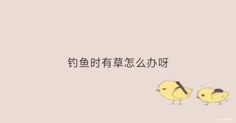 钓鱼时有草怎么办呀(钓鱼水面全是草怎么办)