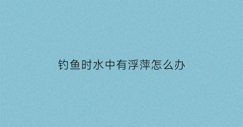 钓鱼时水中有浮萍怎么办(钓鱼有很多浮萍怎么办)