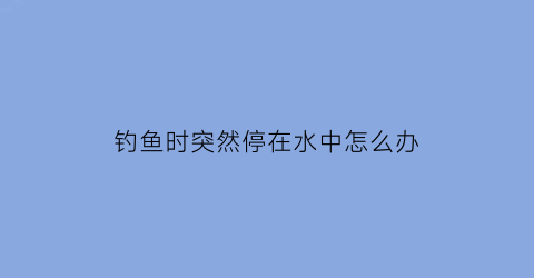 “钓鱼时突然停在水中怎么办(钓鱼钓着钓着停口了什么原因)