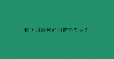 钓鱼时遇到渔船捕鱼怎么办(钓鱼时遇到渔船捕鱼怎么办呢)