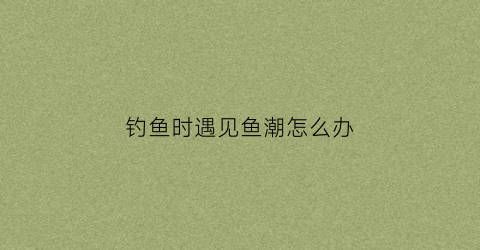 钓鱼时遇见鱼潮怎么办