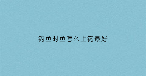 钓鱼时鱼怎么上钩最好(怎样上钓鱼钩)