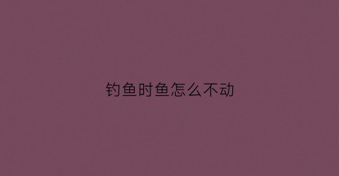 钓鱼时鱼怎么不动(钓到大鱼时鱼不动怎么办)
