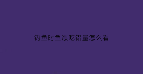 “钓鱼时鱼漂吃铅量怎么看(鱼漂吃铅量在哪)