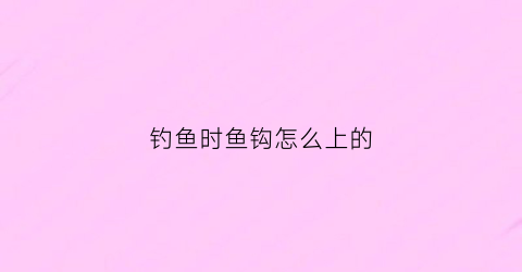 钓鱼时鱼钩怎么上的(鱼钩怎么上)