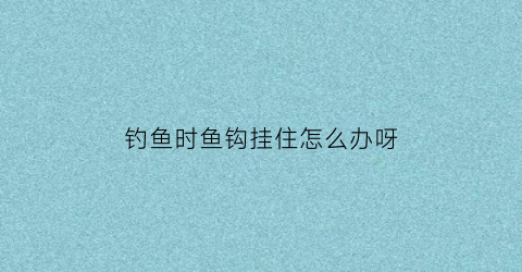 “钓鱼时鱼钩挂住怎么办呀(鱼钩挂住了怎么办)