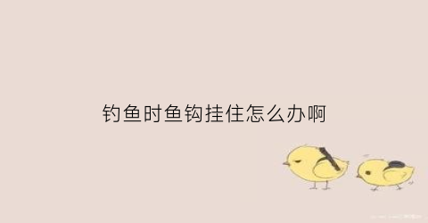 钓鱼时鱼钩挂住怎么办啊(鱼钩挂钩了怎么办)