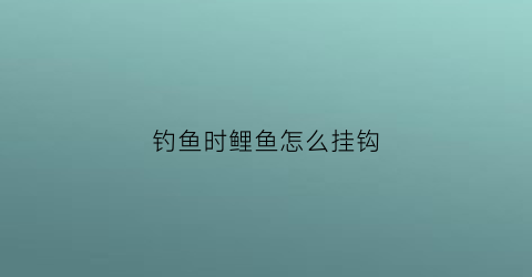 钓鱼时鲤鱼怎么挂钩(钓鱼时鲤鱼怎么挂钩的)