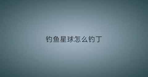 钓鱼星球怎么钓丁(钓鱼星球新手教程)