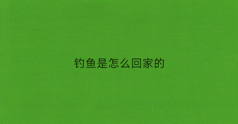 钓鱼是怎么回家的(钓鱼是怎么钓的)