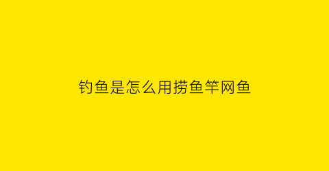 “钓鱼是怎么用捞鱼竿网鱼(用网捞鱼视频)