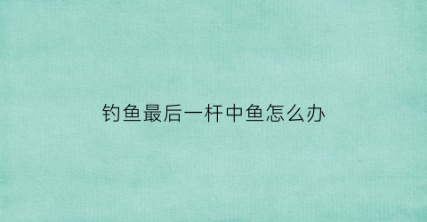 钓鱼最后一杆中鱼怎么办(钓鱼尾数最高记录)