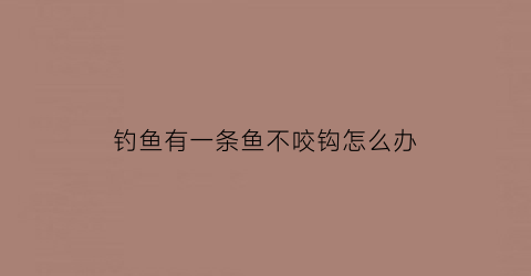 钓鱼有一条鱼不咬钩怎么办(钓鱼有一条鱼不咬钩怎么办呀)