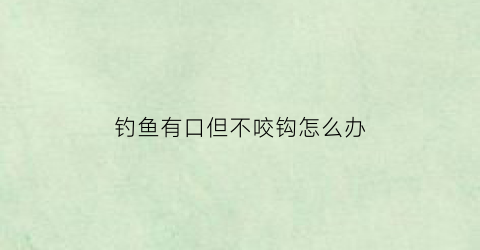 钓鱼有口但不咬钩怎么办(钓鱼有口钓不上来)
