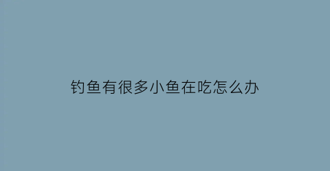 “钓鱼有很多小鱼在吃怎么办(钓鱼有很多小鱼在吃怎么办视频)