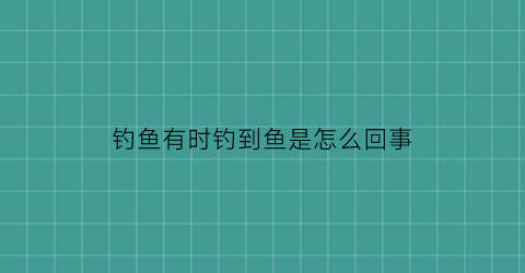 钓鱼有时钓到鱼是怎么回事(钓鱼怎么回事啊)