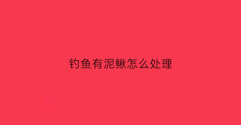 钓鱼有泥鳅怎么处理(钓鱼有泥鳅怎么办)