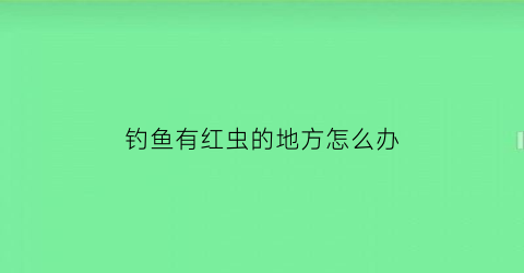 钓鱼有红虫的地方怎么办(钓鱼的红虫是什么虫的幼虫)