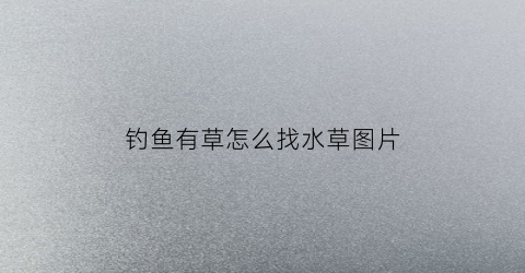 钓鱼有草怎么找水草图片(钓鱼有草怎么找水草图片视频)