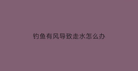 钓鱼有风导致走水怎么办(钓鱼起风怎么办)