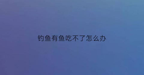 钓鱼有鱼吃不了怎么办(野钓有鱼不吃钩怎么办)