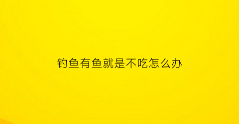 钓鱼有鱼就是不吃怎么办(钓鱼有鱼不吃钩怎么办)