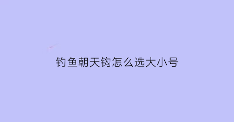 “钓鱼朝天钩怎么选大小号(朝天钩怎么调钓)