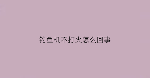 钓鱼机不打火怎么回事(钓鱼机怎么使用)