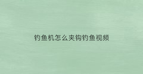 “钓鱼机怎么夹钩钓鱼视频(钓鱼机玩法)