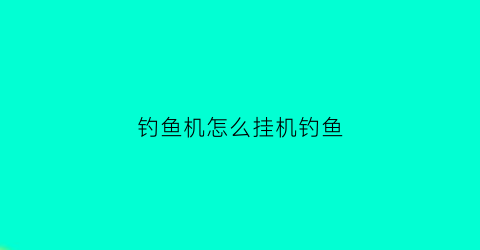 “钓鱼机怎么挂机钓鱼(钓鱼机怎么挂机钓鱼视频)