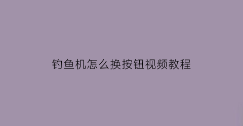 “钓鱼机怎么换按钮视频教程(钓鱼机原理)