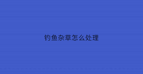 钓鱼杂草怎么处理(钓鱼草多地方如何掏草洞)