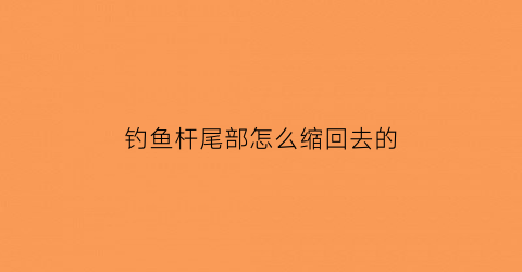 钓鱼杆尾部怎么缩回去的(钓鱼杆尾线如何连接)