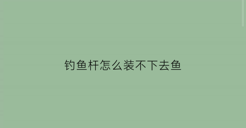 钓鱼杆怎么装不下去鱼(钓鱼杆怎么安装视频教程)