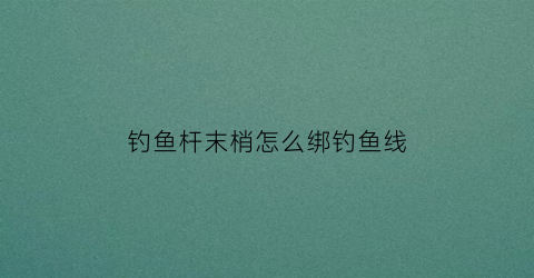 “钓鱼杆末梢怎么绑钓鱼线(钓鱼杆尾绑线那个叫什么)