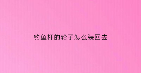 钓鱼杆的轮子怎么装回去(钓鱼杆的轮子怎么装回去图解)