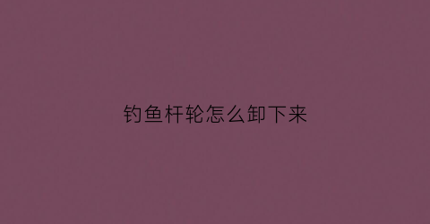 钓鱼杆轮怎么卸下来(鱼轮竿怎么安装)