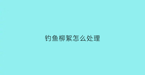 “钓鱼柳絮怎么处理(钓鱼柳絮怎么处理干净)